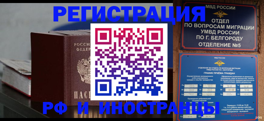 прописка 2025 в Наволоках